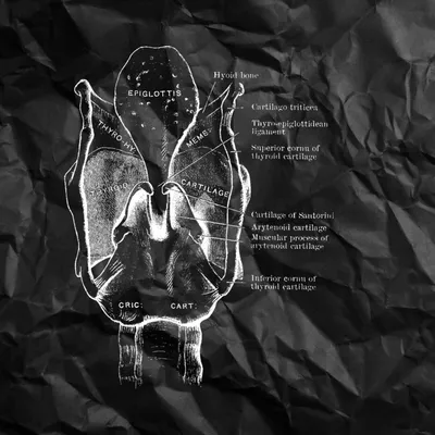 ЛОР «Династия» - Папилломатоз гортани - незаметное невооруженным взглядом,  но опасное заболевание. Особенно в детском возрасте! ⏩ Представляет собой  маленькие доброкачественные новообразования на слизистой гортани.  ❗Симптомы: ⁃ Изменение голоса ...