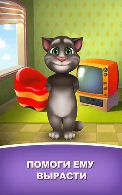 Картинки по запросу говорящий том и анжела | Talking tom, Cute girl hd  wallpaper, Cat talk