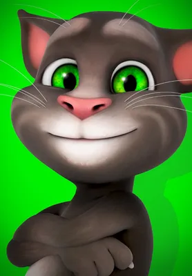 Talking Tom Shorts Mega-Pack (binge compilation) - YouTube