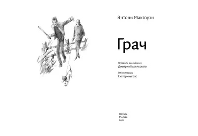 Грач: известный незнакомец | Братья и сестры птицы | Дзен