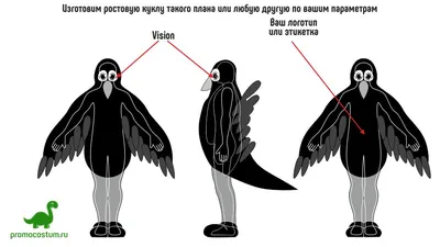 Грач (Corvus frugilegus). Птицы Европейской России.