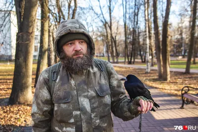 Грач греется на солнце | Пикабу