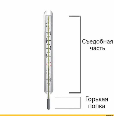 Термометр цифровой Microlife Электронный градусник MT 3001 - «Научу вас,  как правильно пользоваться электронными градусниками (фото)» | отзывы
