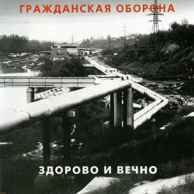 Гражданская Оборона\" завершила юбилейный тур концертом в Москве -  Российская газета