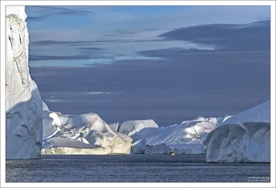 Гренландия Ilulissat цвета ледников морской океан фьорд в полярную ночь  стоковое фото ©sugarek 439316546