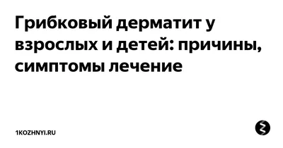 Дерматит у собак: симптомы и современные методы лечения | VETSTEM