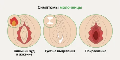 1 шт. травяной противозудный грибковый крем, эффективный против грибков,  частные части, зуд, дерматит, красная сыпь, крем для кожи G007 | AliExpress