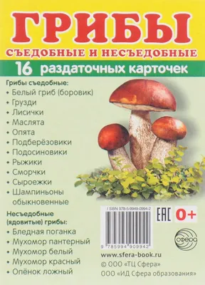 Съедобные грибы в России: названия, описание, внешний вид, фото, где  растут: Природа: Моя страна: Lenta.ru