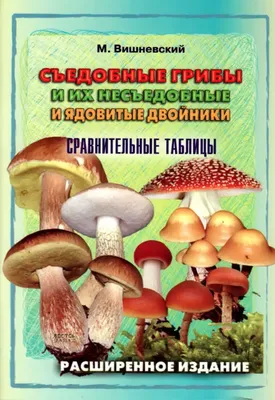 Дидактическое пособие «Съедобные грибы» (4 фото). Воспитателям детских  садов, школьным учителям и педагогам - Маам.ру