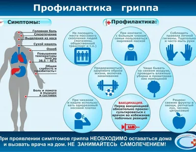 Грипп или ОРВИ? - Инфографика ТАСС