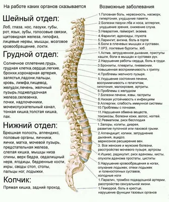 Лечение и профилактика грудного остеохондроза в Ярославле - ФОЦ \"Прогресс\"