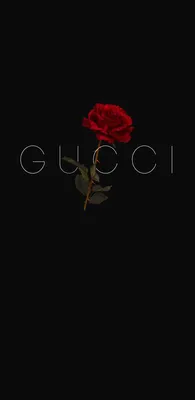 Gucci wallpapers | Gucci wallpaper iphone, Dark wallpaper iphone, Iphone  wallpaper hd nature