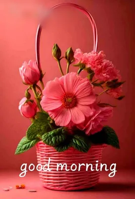 Good Morning | Good morning flowers rose, Good morning flowers quotes, Good  morning