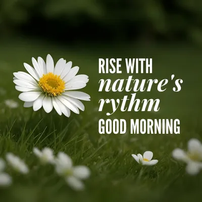 100 Good Morning Quotes And Wishes To Rise And Shine - The Blessed Human