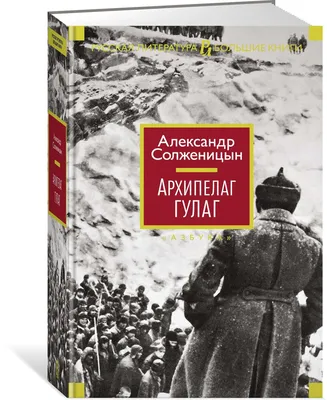 Архипелаг ГУЛАГ | Солженицын Александр - купить с доставкой по выгодным  ценам в интернет-магазине OZON (564053781)