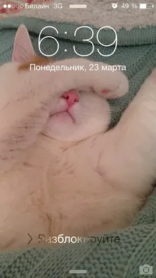 доброеутро #понедельник | TikTok