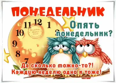 Вы готовы? А вот он я - ПоНедельник! НеНастоящий! | Марина Ника. Возможно  Все ! | Дзен