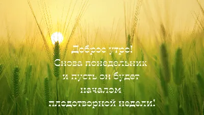 Office-book: опять понедельник. Снимаем стресс на работе. Демотиваторы и  мотиваторы, которые сделают ваш день