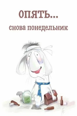 А завтра снова понедельник 😑 Подпишись 👉 @go_in_samara Отмечайте наш  аккаунт или ставьте тег #go_in_samara #Самара #Тольятти #Ульяновск… |  Instagram