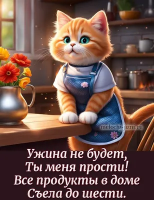 ты #меня #забудь #прости #ночами #темными #незови #рек | TikTok