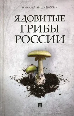 Самые ядовитые грибы Сибири. Избегайте встречи с ними | Дивные места | Дзен