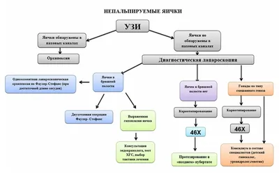 Где яички, Лебовски?! | Пикабу