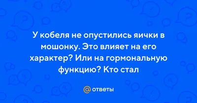 Антенатальный онтогенез яичек плода – тема научной статьи по клинической  медицине читайте бесплатно текст научно-исследовательской работы в  электронной библиотеке КиберЛенинка