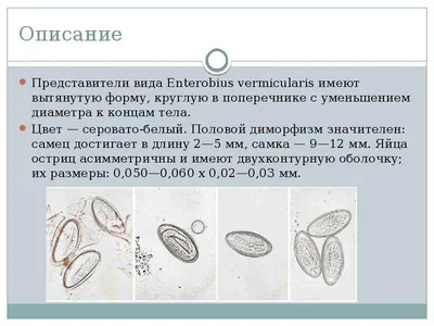 Яйца и личинки гельминтов - определение в воде и почве