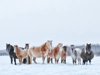 Компании инЯкутия: Есть первые Якутские салюты!!!. Туры по Якутии