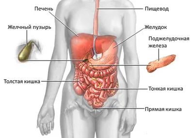 Перфоративная язва желудка | Радиография