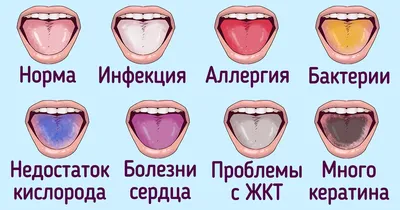 Немецкий язык. Время грамматики. 5-9 классы