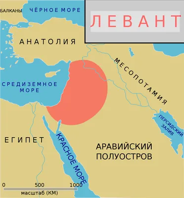 Пластика уздечки языка - Сеть стоматологических клиник Санкт-Петербурга -  Мир стоматологии