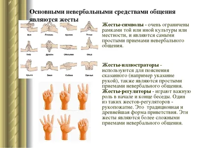 Язык жестов: истории из жизни, советы, новости, юмор и картинки — Все  посты, страница 11 | Пикабу