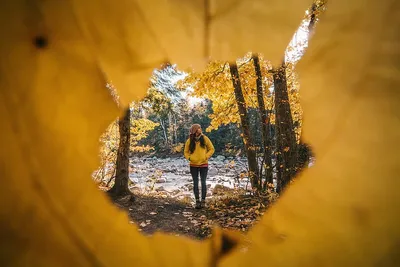 Love Story: обзор креативных идей для фотосессии на 14 февраля