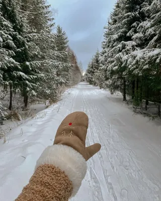 Фото зимой идеи, идеи для зимнего фото, winter, зимнее фото Инстаграм |  Снежная фотография, Зимняя семейная фотография, Рождественские фотосессии