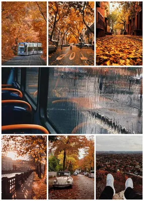 Идеи для фото в ИНСТАГРАМ осенью | Простые фото лайфхаки - YouTube