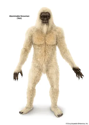 Yeti Toy | Mythical Creature Toys | Safari Ltd®