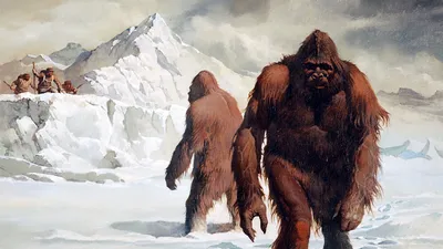 Yeti: The Giant of the 20th Century (2-Disc Limited Collector's Edition Nr.  53) [Ultimate Edition / Shop Exklusiv / Limitiert to 333 units, Cover B] -  Wicked Vision Distribution GmbH