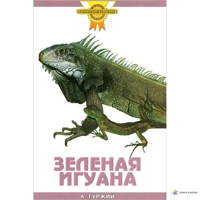 Игуана стоковое фото. изображение насчитывающей фиджи - 45694084