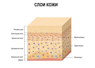 Диагноз ихтиоз, не всегда... - Центр подологии Арутюнян М.М. | Facebook