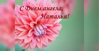 Наталья Питерская on X: \"Дорогие Наташки, с именинами нас🌷😘  https://t.co/F3WZQGgLNj\" / X