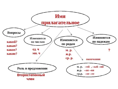 Имя прилагательное - SMASH