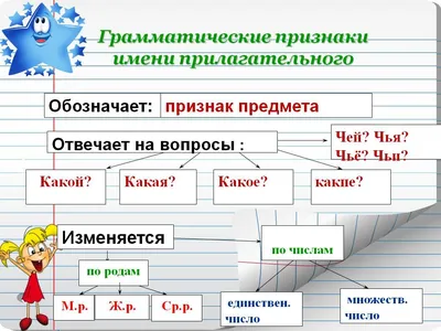 Сборник упражнений по теме \"ИМЯ ПРИЛАГАТЕЛЬНОЕ\" 3 класс