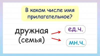 В каком числе имя прилагательное? Число имен прилагательных - YouTube