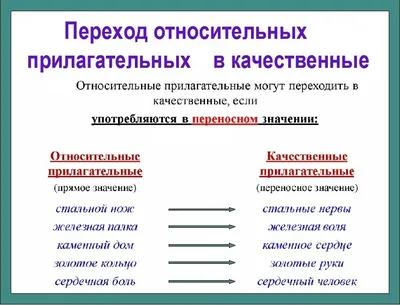 17. Тема 14. Морфология. Части речи. Имя прилагательное. | Школа русского  языка и словесности | Дзен