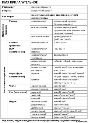 Имя прилагательное как часть речи - Прилагательное - Морфология - Курс  русского языка - Ликбез. ОГЭ. ЕГЭ. Русский язык. Литература