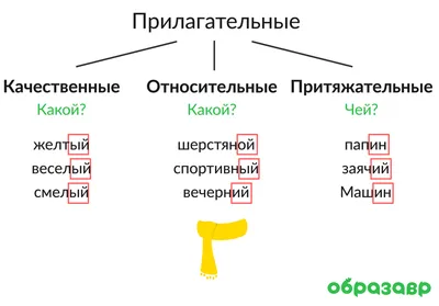 Имя прилагательное • Образавр