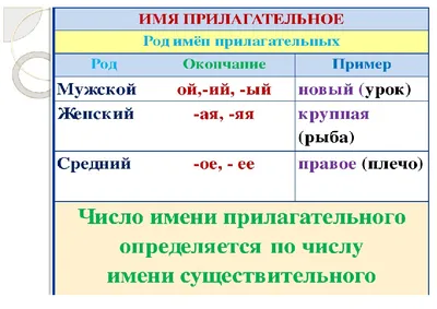 Тренажёр имена прилагательные 3 класс и 4 класс скачать, распечатать  рабочие листы