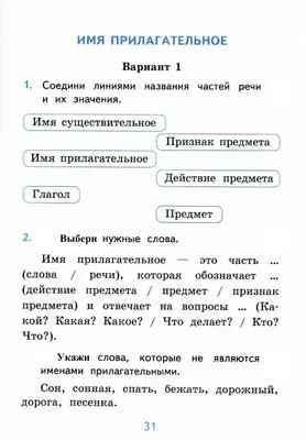 Найди в предложении притяжательное имя прилагательное