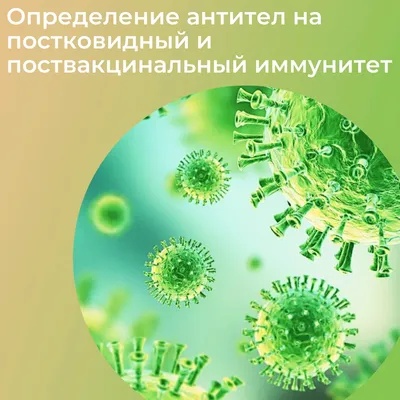 Зачем нужен коллективный иммунитет к COVID-19? - Костромской  Государственный Университет